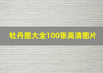 牡丹图大全100张高清图片