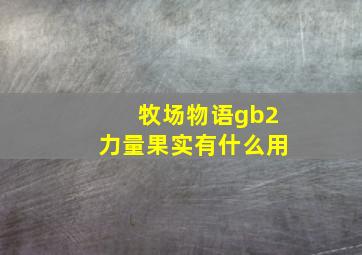 牧场物语gb2力量果实有什么用