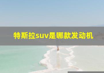 特斯拉suv是哪款发动机