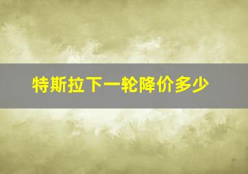 特斯拉下一轮降价多少