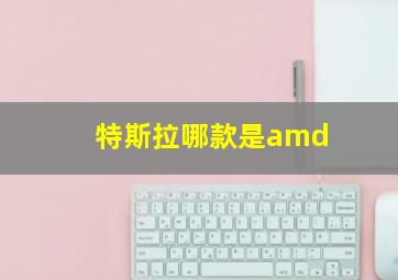 特斯拉哪款是amd