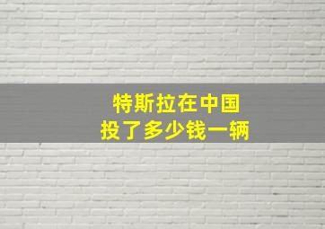 特斯拉在中国投了多少钱一辆