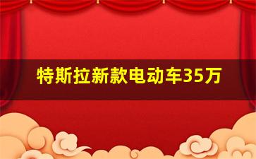 特斯拉新款电动车35万