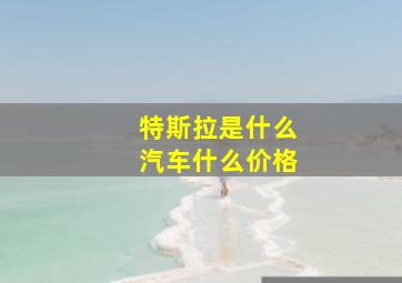 特斯拉是什么汽车什么价格