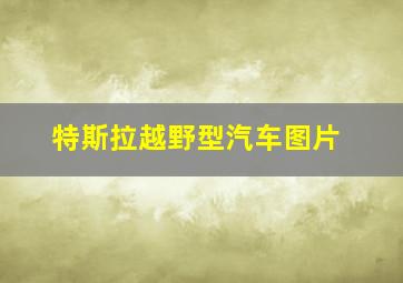 特斯拉越野型汽车图片