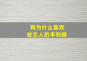 狗为什么喜欢咬主人的手和脚