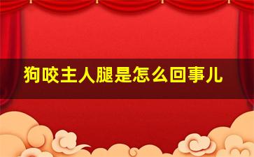 狗咬主人腿是怎么回事儿