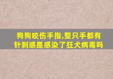 狗狗咬伤手指,整只手都有针刺感是感染了狂犬病毒吗