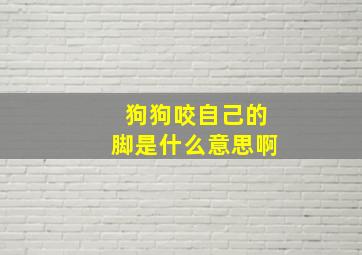 狗狗咬自己的脚是什么意思啊