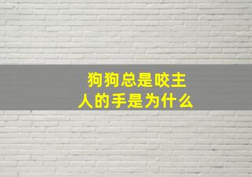 狗狗总是咬主人的手是为什么