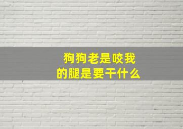 狗狗老是咬我的腿是要干什么