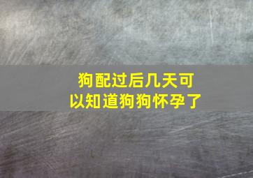 狗配过后几天可以知道狗狗怀孕了