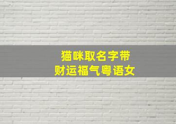 猫咪取名字带财运福气粤语女