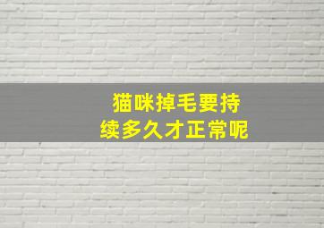 猫咪掉毛要持续多久才正常呢