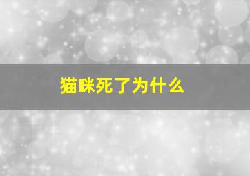 猫咪死了为什么