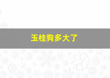 玉桂狗多大了