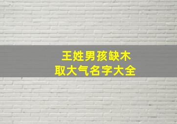 王姓男孩缺木取大气名字大全