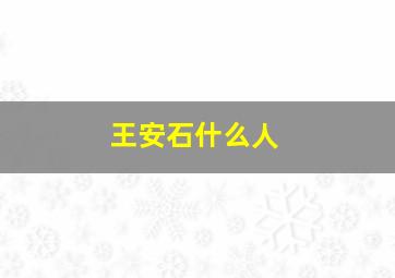 王安石什么人