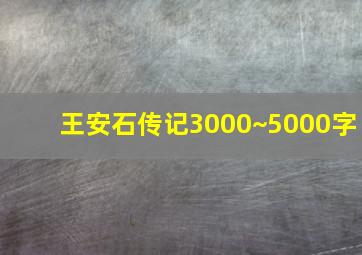 王安石传记3000~5000字