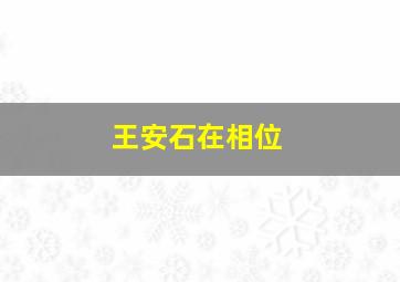 王安石在相位