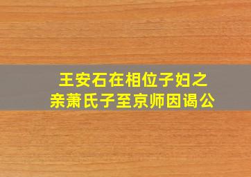 王安石在相位子妇之亲萧氏子至京师因谒公