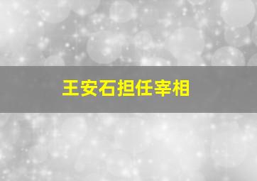 王安石担任宰相