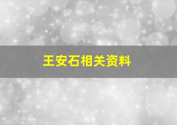 王安石相关资料