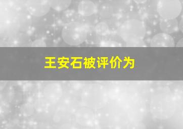 王安石被评价为