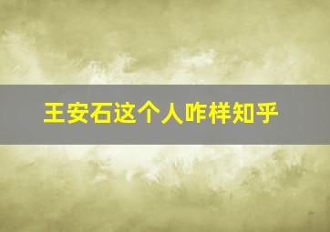 王安石这个人咋样知乎