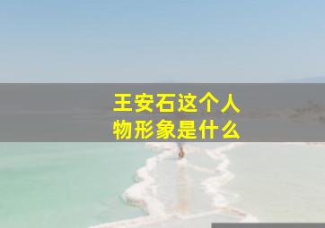 王安石这个人物形象是什么