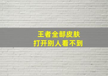 王者全部皮肤打开别人看不到