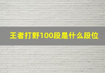 王者打野100段是什么段位