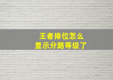 王者排位怎么显示分路等级了