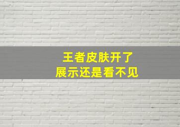 王者皮肤开了展示还是看不见