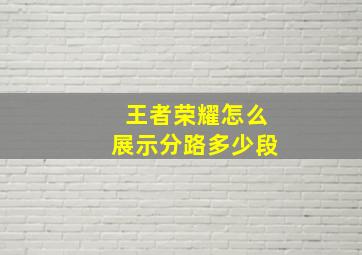 王者荣耀怎么展示分路多少段