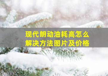 现代朗动油耗高怎么解决方法图片及价格