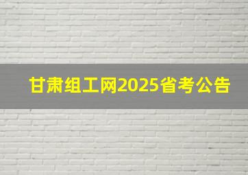 甘肃组工网2025省考公告