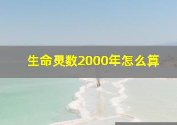 生命灵数2000年怎么算