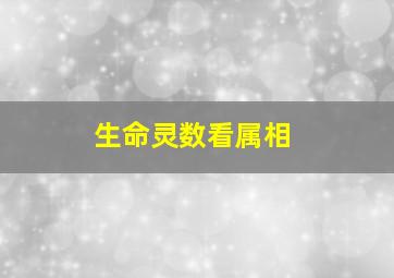 生命灵数看属相