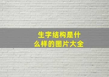 生字结构是什么样的图片大全