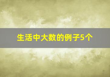 生活中大数的例子5个