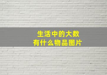 生活中的大数有什么物品图片