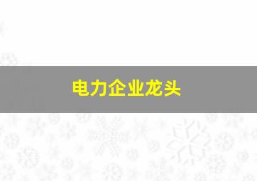 电力企业龙头