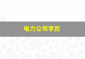 电力公司学历