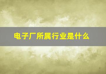 电子厂所属行业是什么