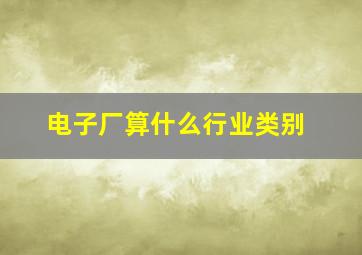 电子厂算什么行业类别