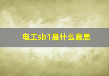 电工sb1是什么意思