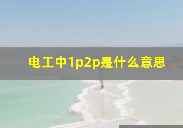 电工中1p2p是什么意思