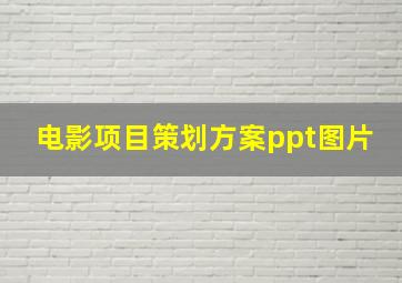 电影项目策划方案ppt图片