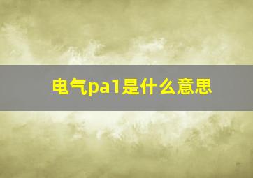 电气pa1是什么意思